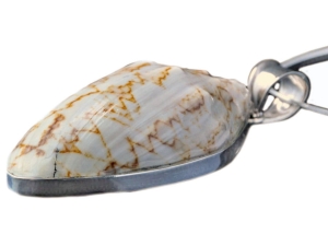 wisiorek muszla naturalna SREBRO 0,925