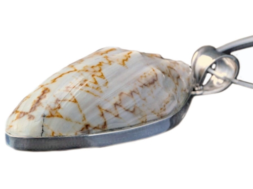 wisiorek muszla naturalna SREBRO 0,925