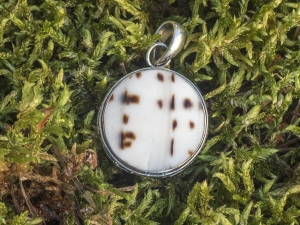 VERSIL wisior wisiorek muszla naturalna SREBRO 925