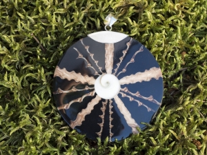 Wisior z muszlą brązowy. Srebro 0,925