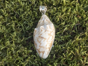 VERSIL wisiorek muszla naturalna SREBRO 0,925