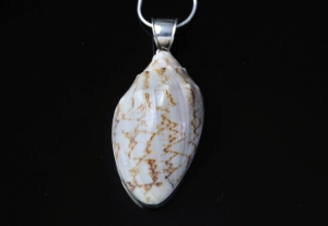 VERSIL wisiorek muszla naturalna SREBRO 0,925