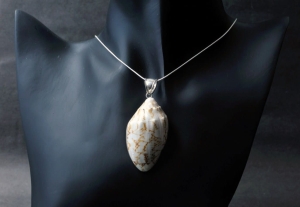 VERSIL wisiorek muszla naturalna SREBRO 0,925